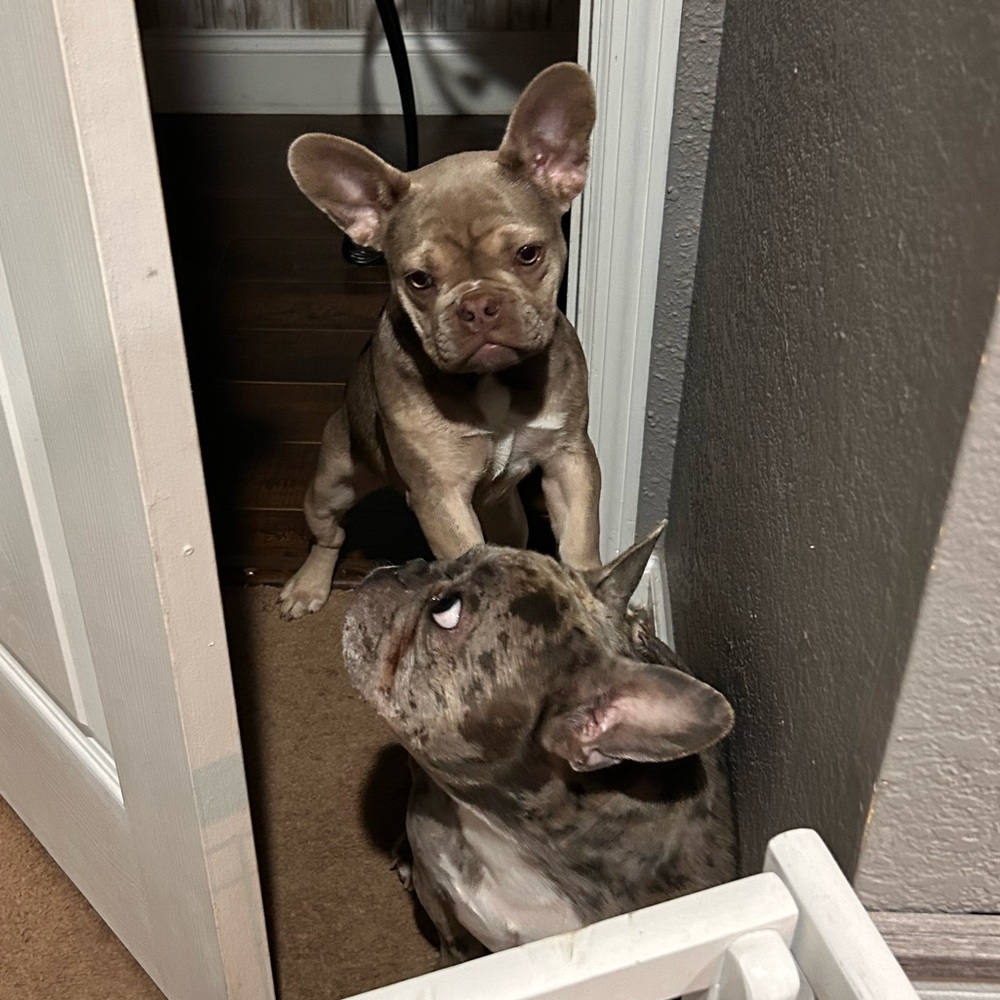 Meet your Posher, Nastassja